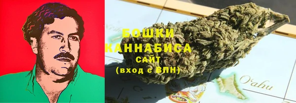 шишки Михайловка