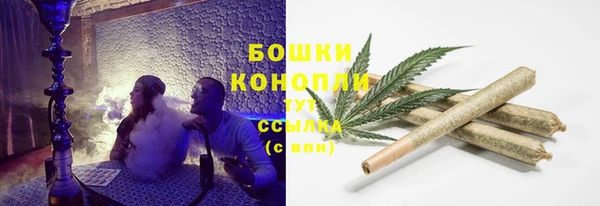 шишки Михайловка