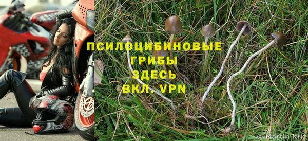 шишки Михайловка