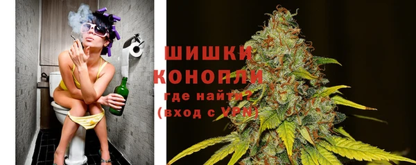 мдпв Михайловск