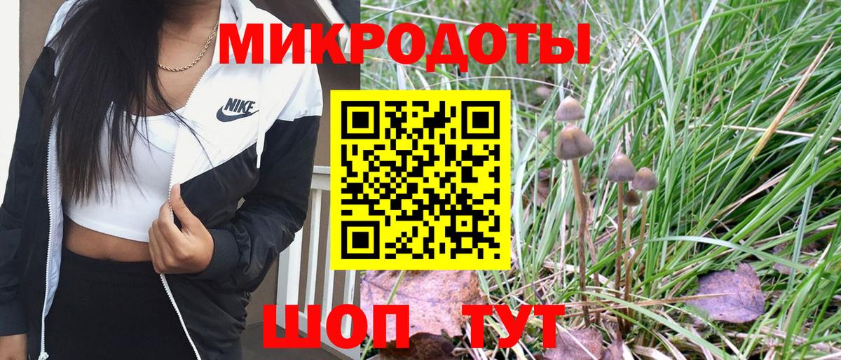 Салават  Галлюциногенные грибы Cubensis  Вход с VPN 