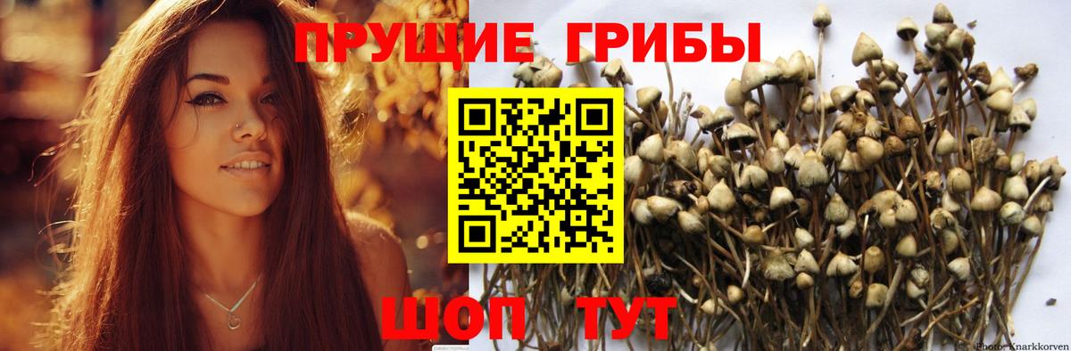 Галлюциногенные грибы Magic Shrooms Салават